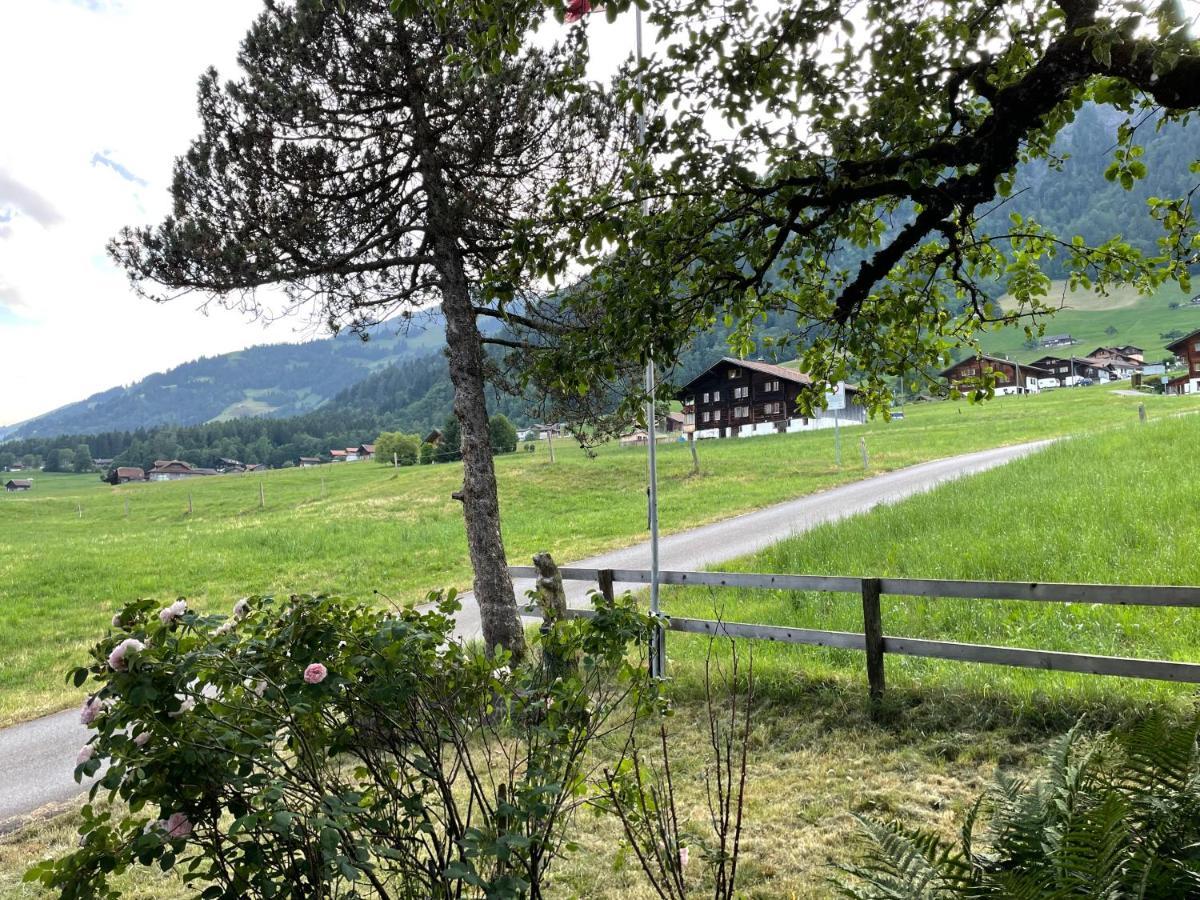 Edelweiss 4 Zi Ferienwohnung In Landhaus 弗鲁蒂根 外观 照片